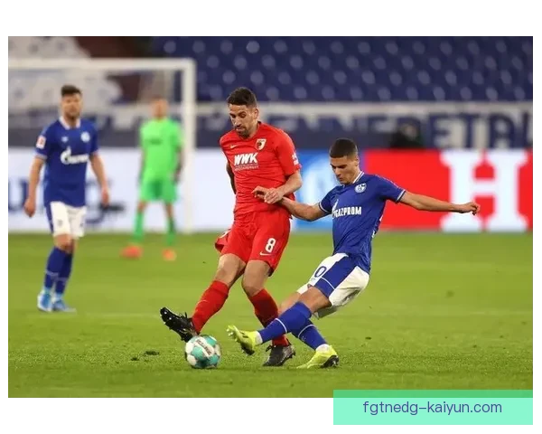 沙尔克转会策略分析：冲击联赛保级目标的关键举措